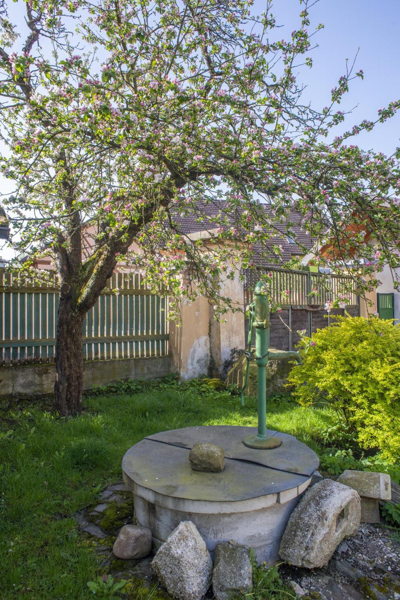 Mlyn-Osvracin Apartman Kültér fotó