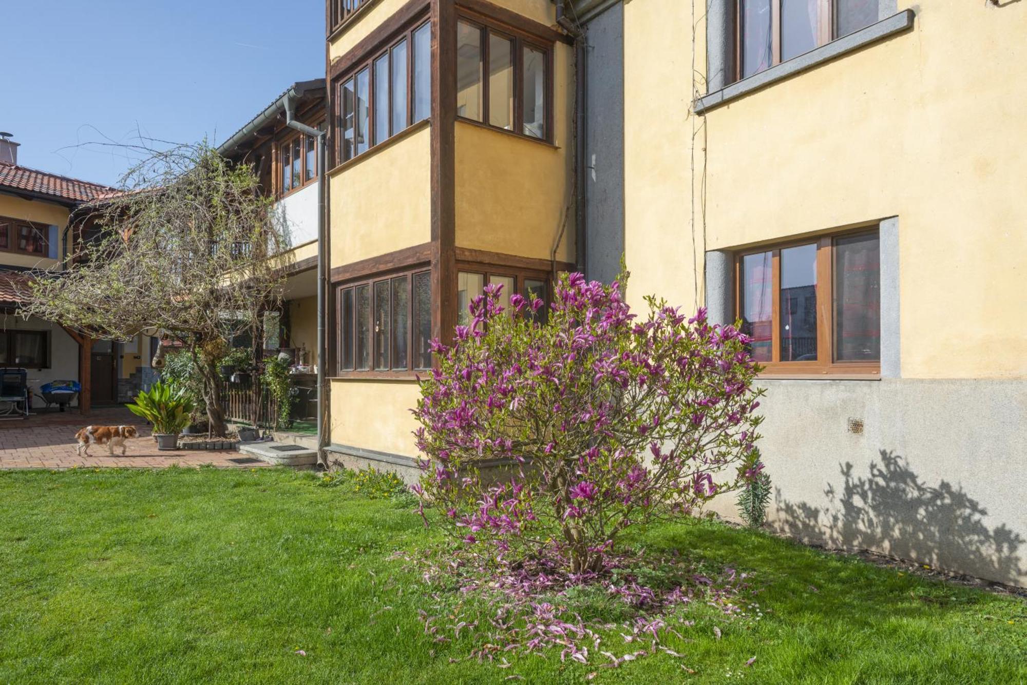 Mlyn-Osvracin Apartman Kültér fotó