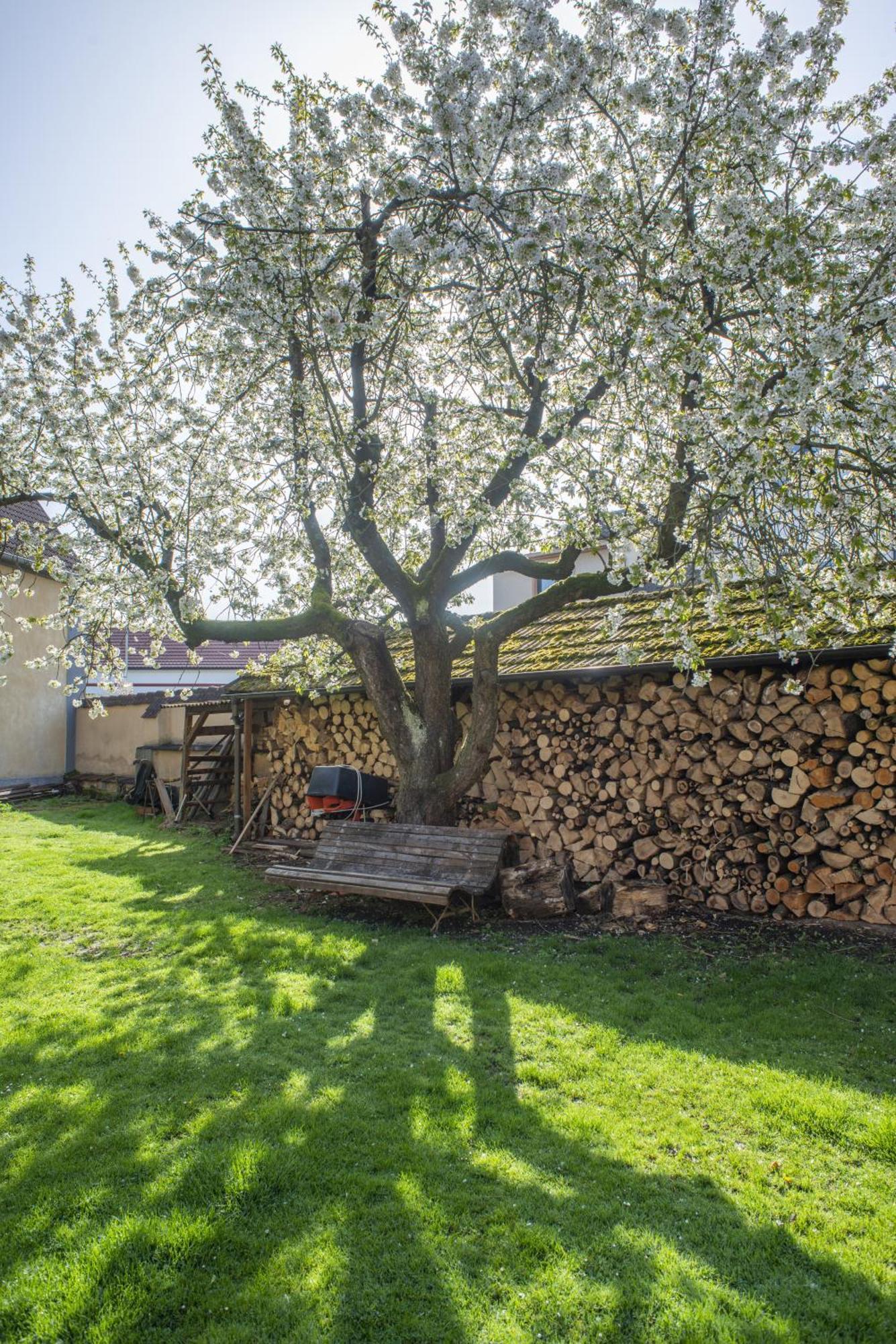 Mlyn-Osvracin Apartman Kültér fotó